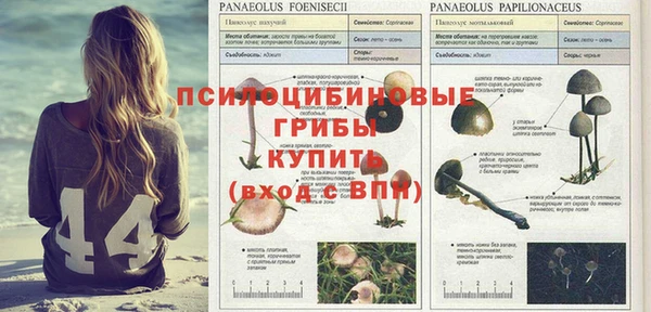 винт Баксан